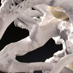 Leo Ferdinando Demetz, Virus (particolare), legni vari (radice), 40 x 50 cm (15,8 x 19,7 in)